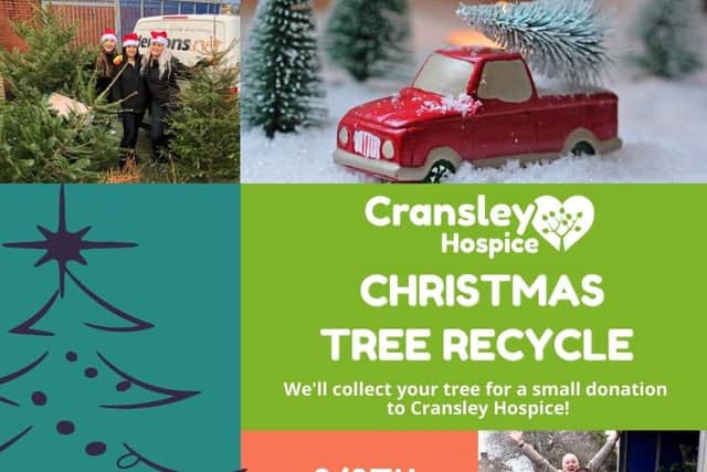 Christmas tree recycling
