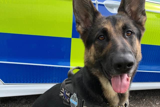 PD Kez assisted police in catching and arresting a Wellingborough man on suspicion of going equipped for burglary and possession of an offensive weapon in public