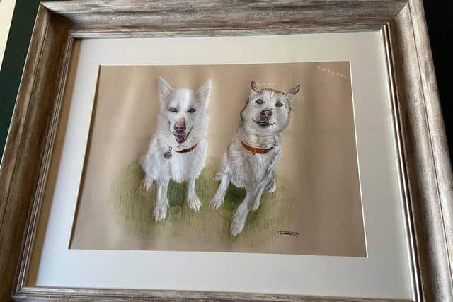 The winners of the last beauty pageant, Star and Snowy, had their portrait painted, which was then auctioned off to raise funds for the new RSPCA animal centre.