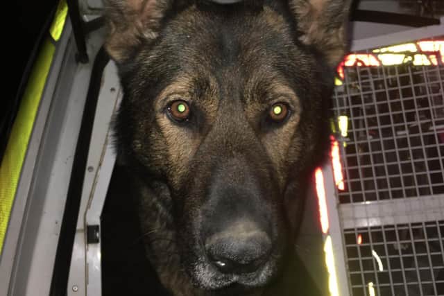 PD Olly tracks a missing man through fields in Peterborough in "lifesaving" act.