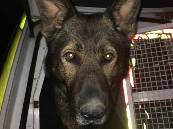 PD Olly tracks a missing man through fields in Peterborough in "lifesaving" act.