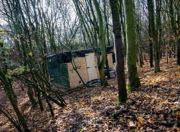 A cannabis factory was uncovered by police in a camouflaged woodland shack just off the A45 near Ecton, Northampton.
