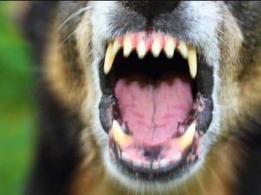 Police have seen a rise in attacks by dangerous dogs in Northamptonshire