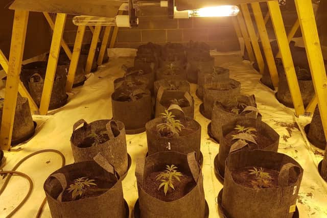 60 cannabis plants were found in the Rushden loft space