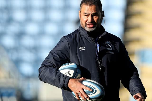 Pat Lam