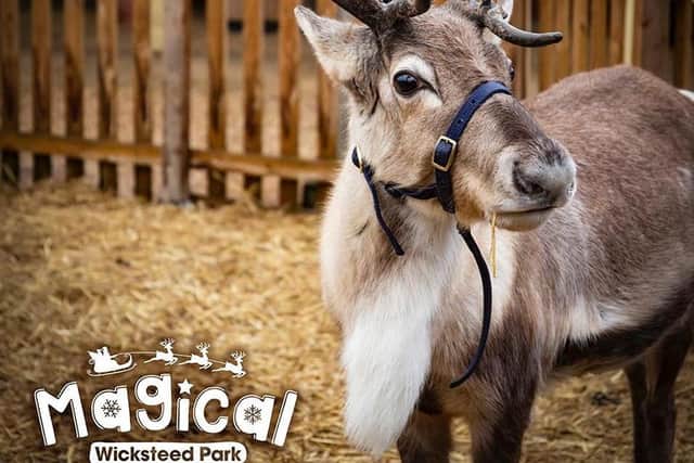Magical Wicksteed is fully booked but a Magical Twilight event has now been launched
