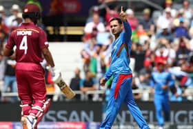 Mohammad Nabi celebrates claiming a wicket for Afghanistan against the West Indies in the 2019 World Cup in England
