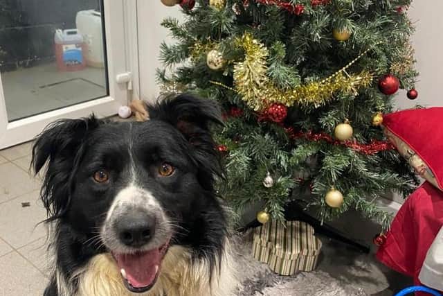Could you help the charity out this Christmas?