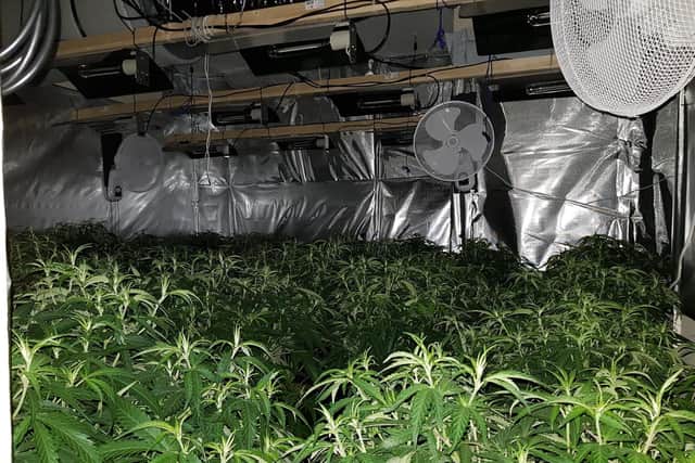 Inside the cannabis factory. Credit: Kettering Police Team