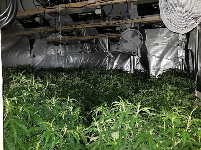 Inside the cannabis factory. Credit: Kettering Police Team