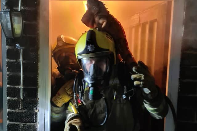 Iguana gets a lift of a fireman to find a quick way out of a smoke-filled property. Photo: @northantsfire