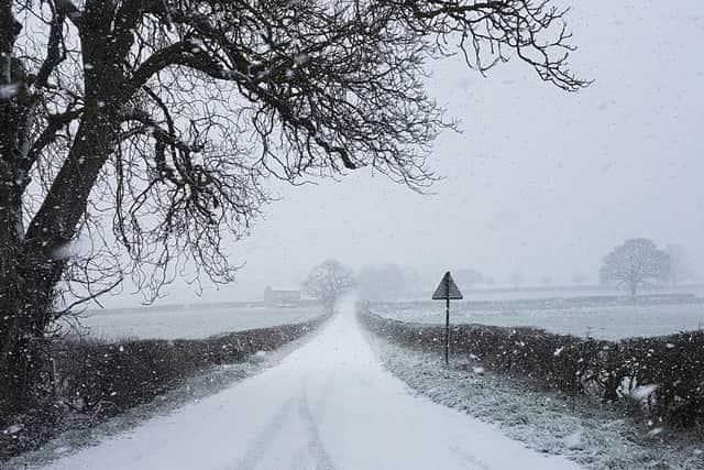 Snow on a country road sent to the Northampton Chronicle & Echo by Corina Ursu