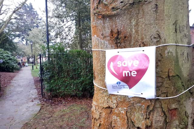 Campaigners have urged the council to rethink the removal of the trees