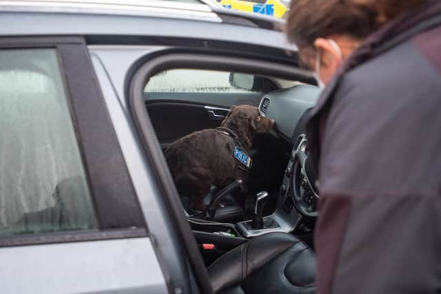A police dog searches a vehicle.