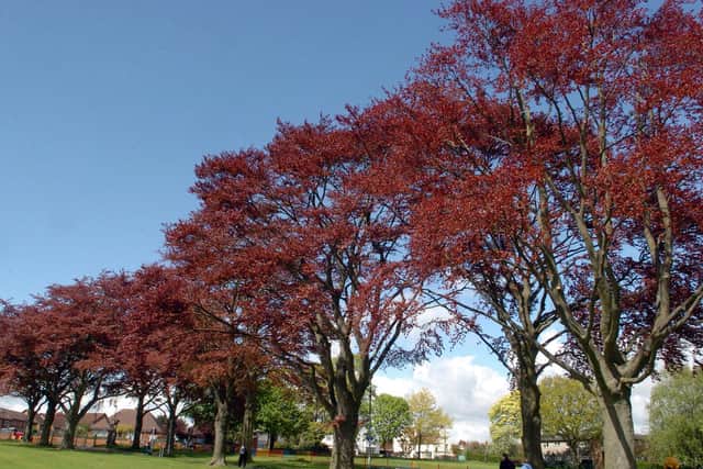 Bassetts Close Park in Wellingborough.