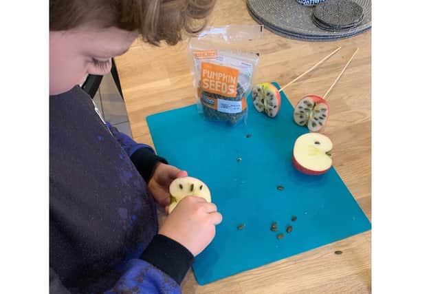 Busy creating a bird feeder