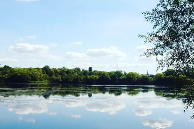 Nene Wetlands
