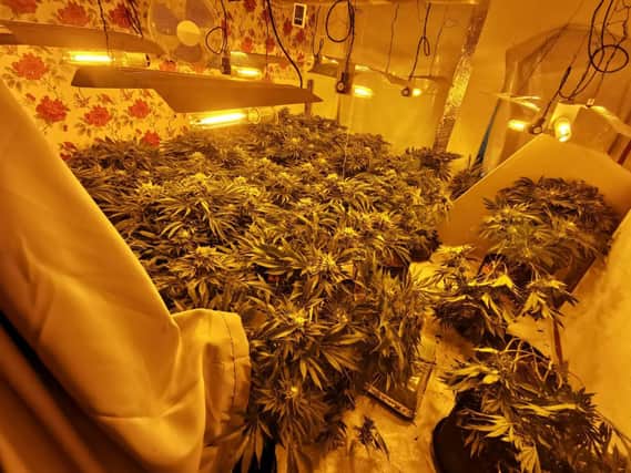 Inside one of the cannabis factories. Credit: Kettering Police Team