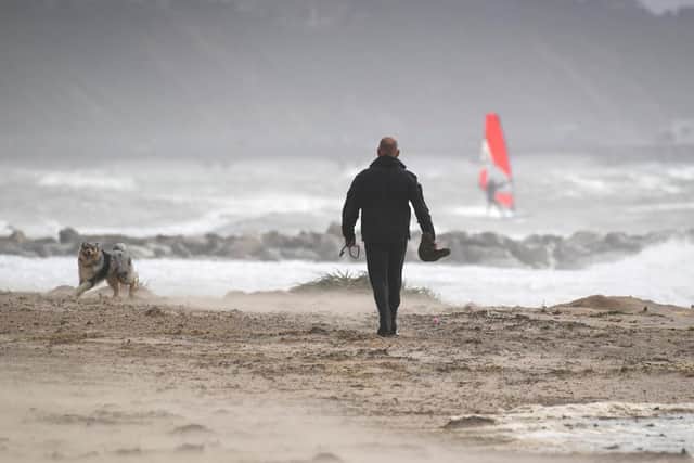 One dog owner from Northamptonshire was fined after driving all the way to Hunstanton to walk is pet on the beach. Photo: Getty Images