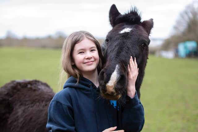 Francesca Gibson almost lost her 'best friend' Pingu to colic brought on by members of the public feeding him incorrectly.