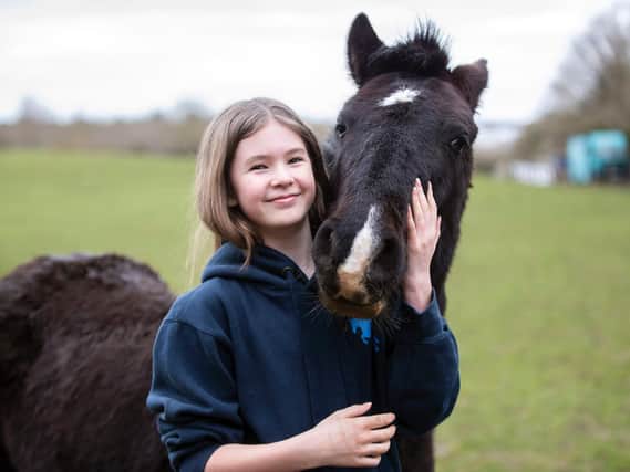Francesca Gibson almost lost her 'best friend' Pingu to colic brought on by members of the public feeding him incorrectly.