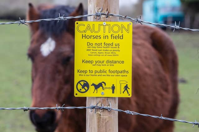 A spate in horse deaths has been reported in the last year because of walkers feeding horses during strolls to get out the house.