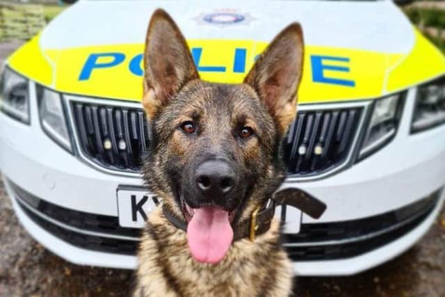 New recuit PD Gru