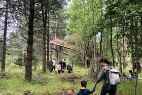 Children and parents at an activity day in the wood. Picture by Siobhan Currie.