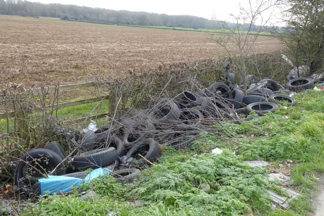 Dozens of tyres have been dumped