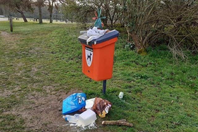 One of the over flowing dog bins