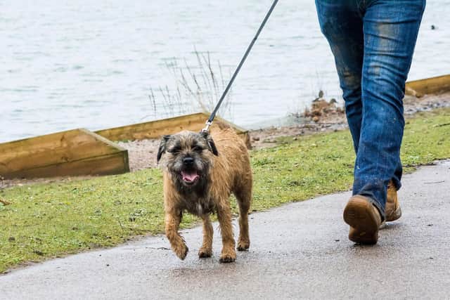 Calling all furry fundraisers to help raise funds for Cancer Research UK!