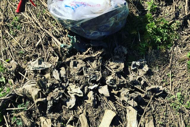 Some of the items picked from the Slade Brook