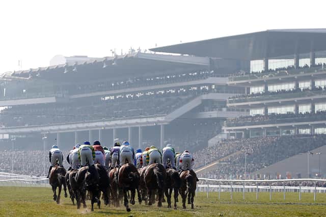 All systems go for Cheltenham next week
