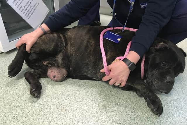 Alexis had a large tumour