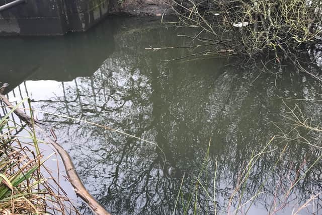 The dog is believed to have been dumped in the balancing lakes