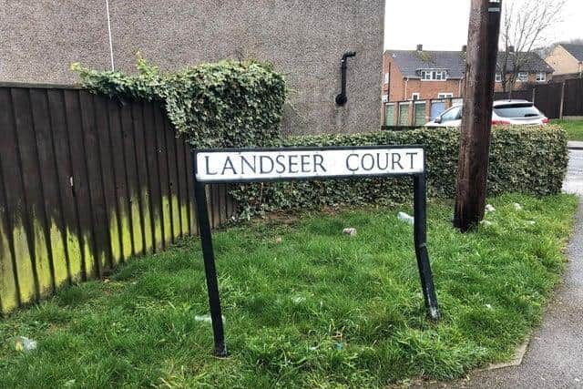 The incident took place in Landseer Court.