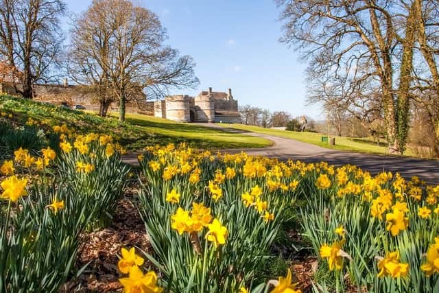 Mothers' day at Rockingham Castle