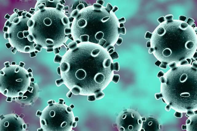 Coronavirus stock
