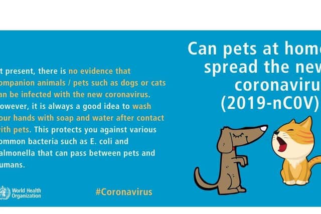 The World Health Organization says pets do not spread Covid-19