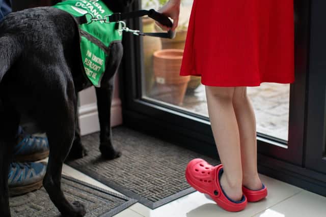 Emily is much more open to wearing shoes since having Oslo around, but still loves to wear a red dress. Photo: Dogs for Good