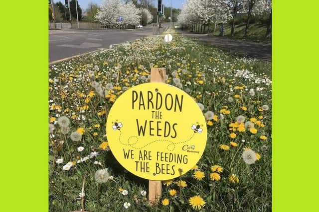 This picture taken in Burton Latimer has been shared on Twitter thousands of times