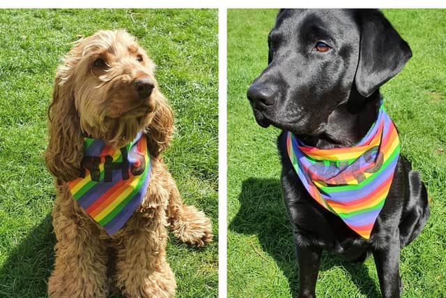 Bailey and Oscar model the scarves.