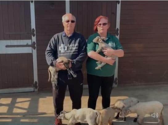 Roy and Annie Marriott from Animals In Need in Little Irchester