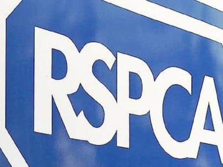 The RSPCA has been called to more than 350 animal incidents since lockdown was introduced last month.