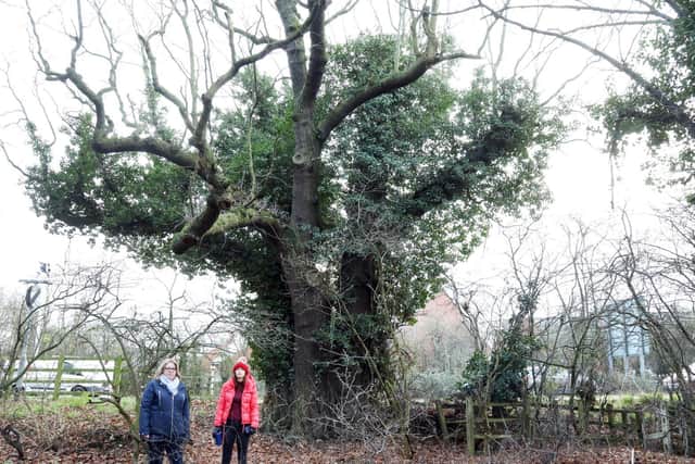 Campaigners Justina Bryan and Vanessa Penman with the Three Oak tree
in January 2020