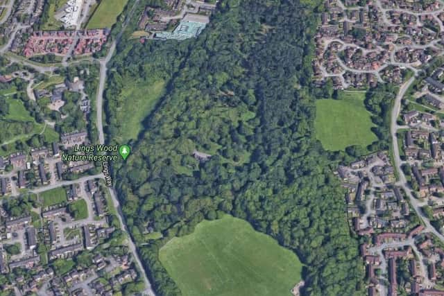 The body of a man was discovered in Lings Wood on Monday (May 4)