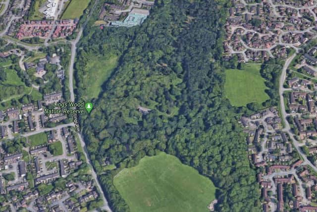 The body was discovered in Lings Wood last week