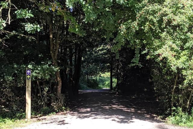 Beautiful Fineshade is popular with families, dog walkers, runners and cyclists.