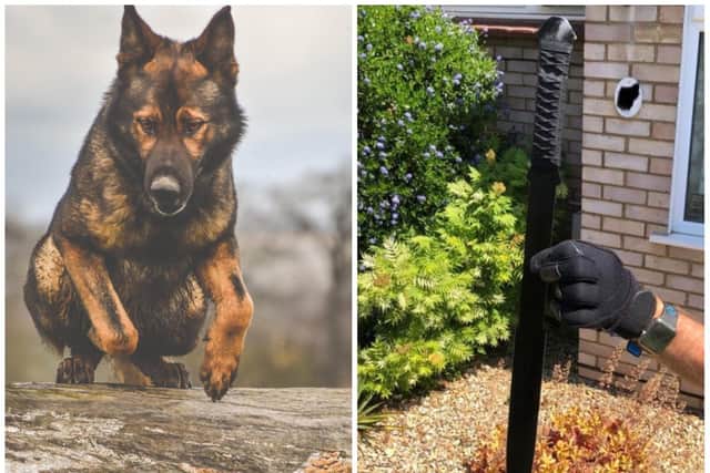 PD Olly helped arrest a 16-year-old suspect carrying this machete. Photos: Northamptonshire Police