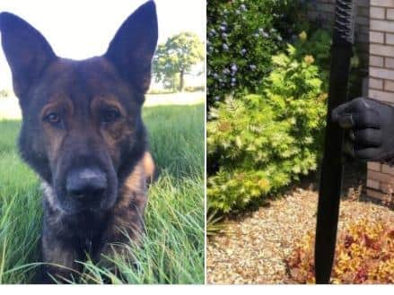 PD Olly and the knife he helped track down